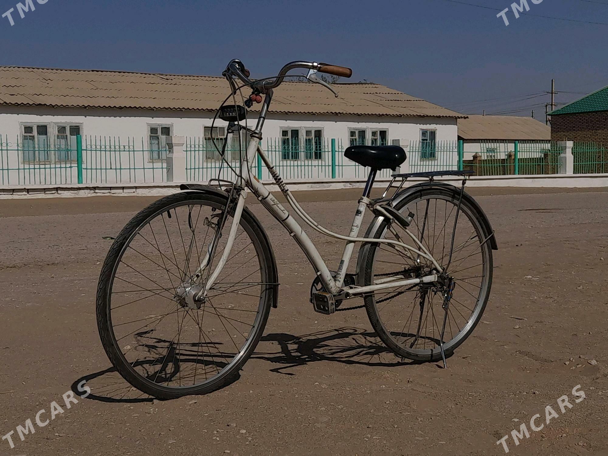 Dubaý welik - Гумдаг - img 1