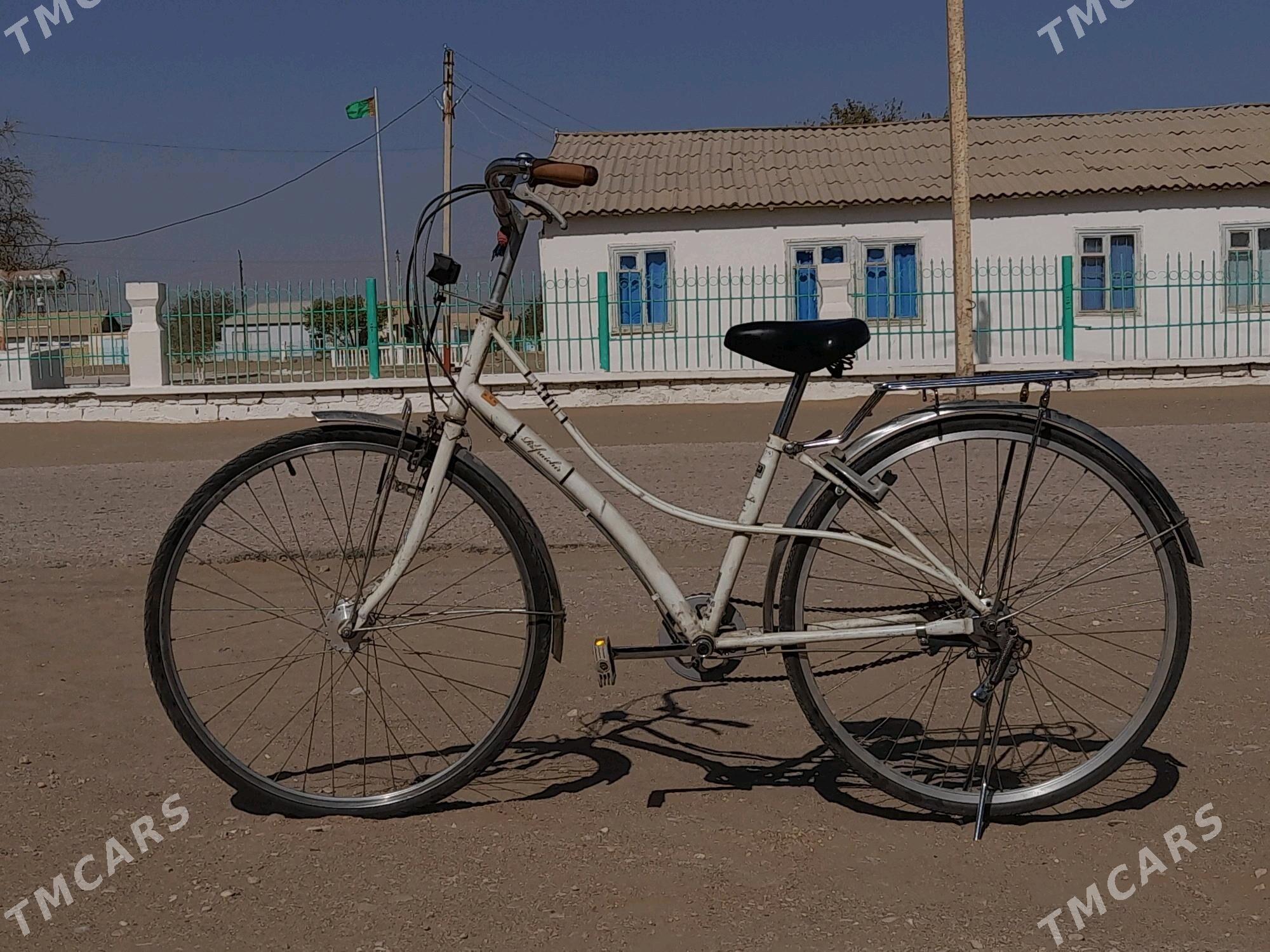 Dubaý welik - Гумдаг - img 2