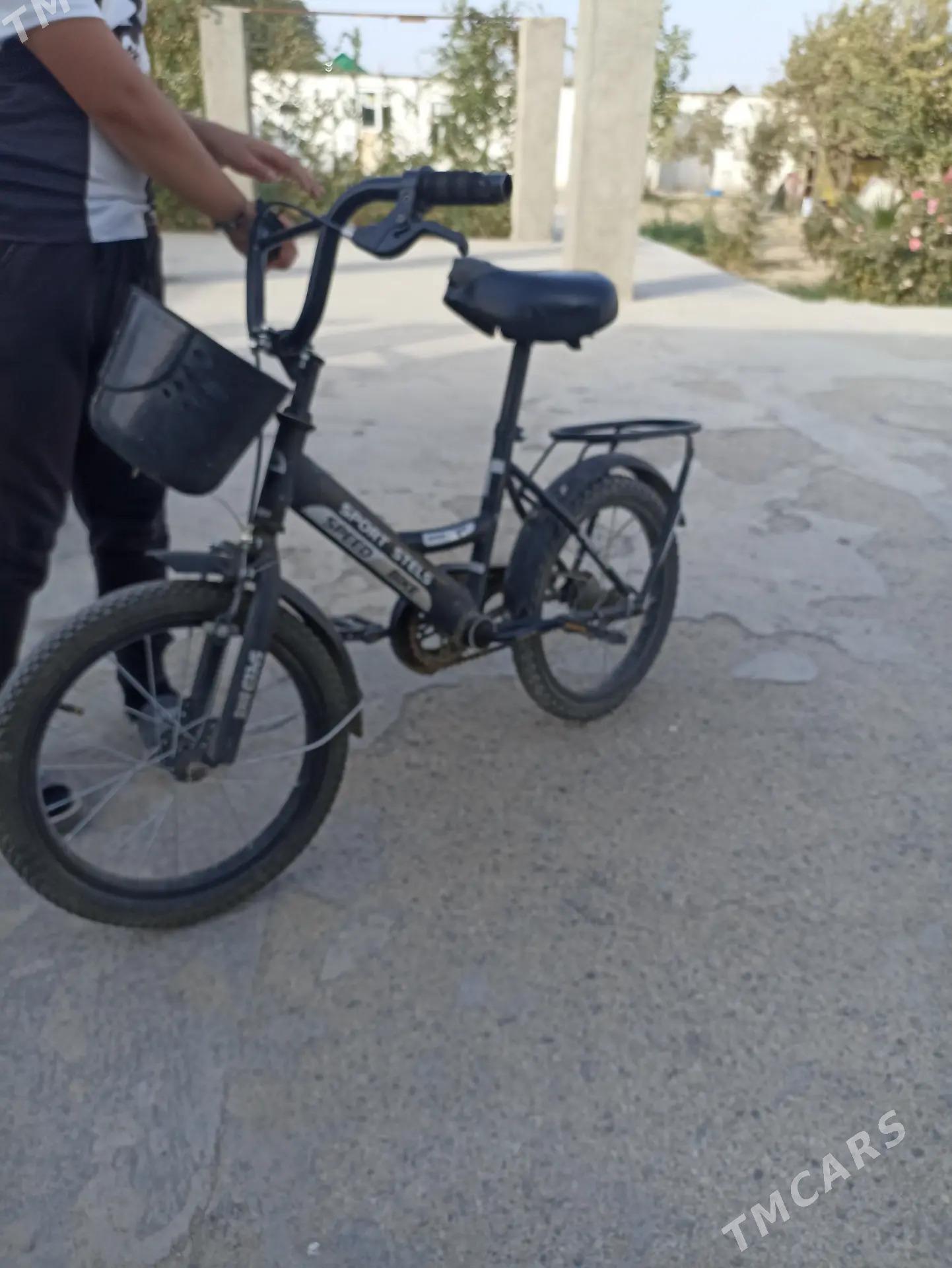 Tigir 12 we 16 çagalar ücin - Гёкдепе - img 4