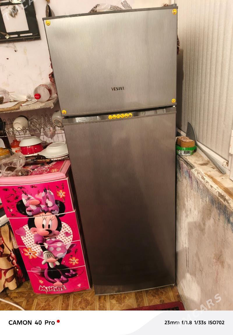 Haladinik westel - Büzmeýin GRES - img 5