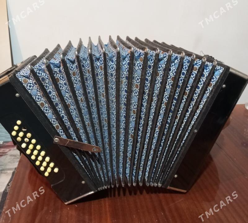 Антикварная гармошка СССР - Baýramaly - img 2