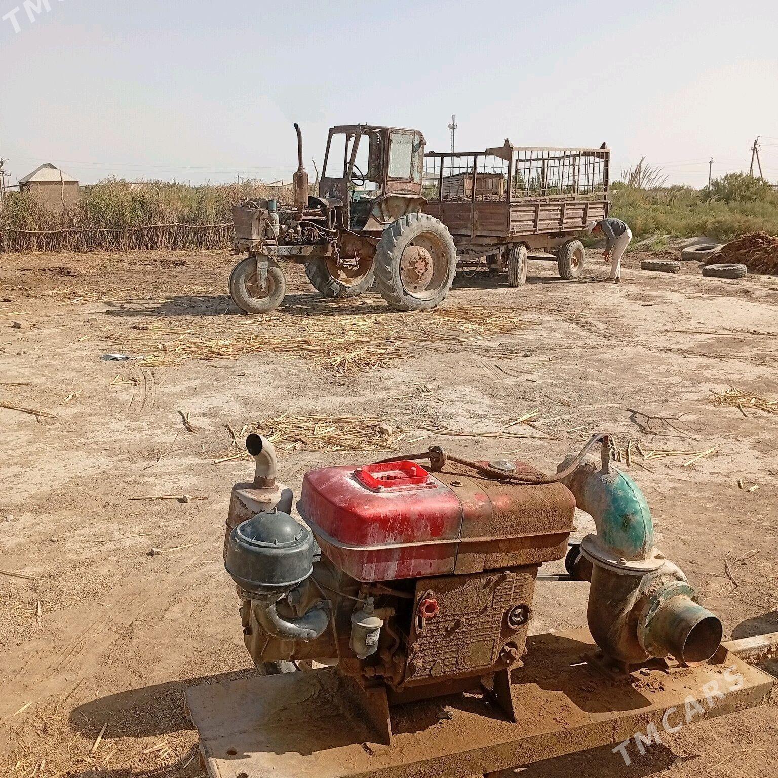 MTZ 80 1987 - 27 000 TMT - Tejen - img 3