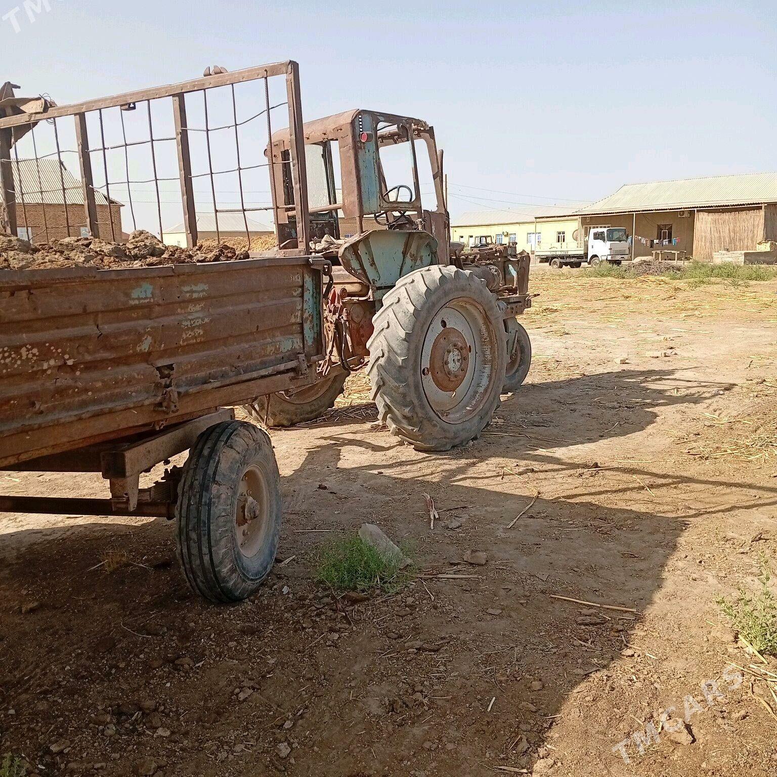 MTZ 80 1987 - 27 000 TMT - Tejen - img 5