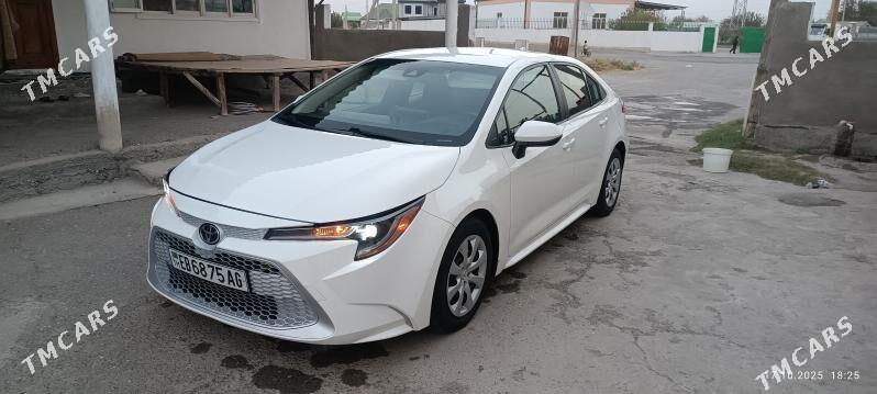 Toyota Corolla 2021 - 240 000 TMT - Garadamak - img 4