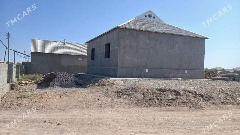 Satlyk jay tejenetrap kamsamol - Теджен - img 4