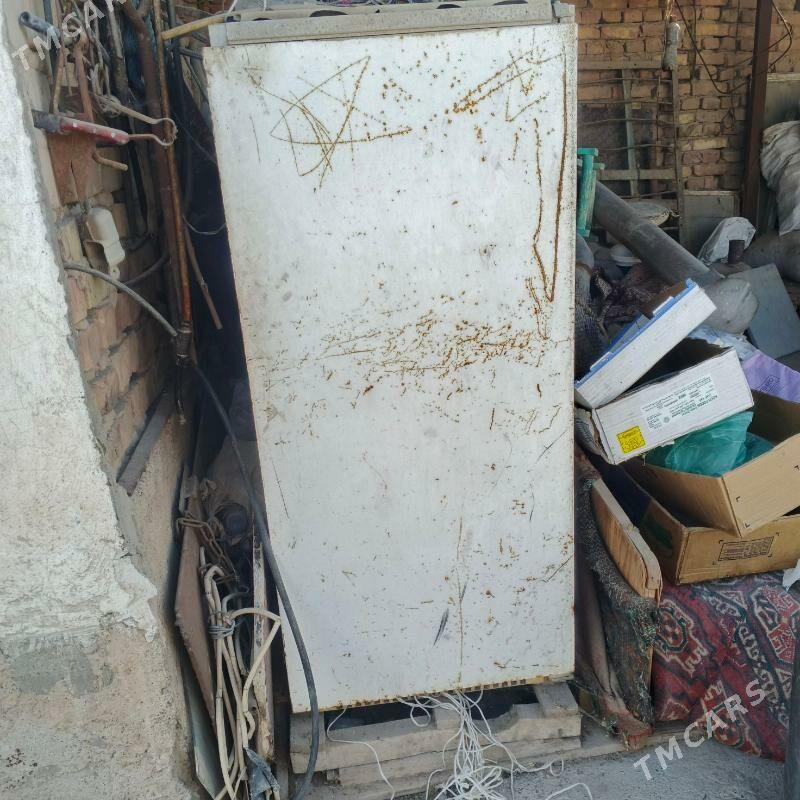 kone haladilnok - Tejen - img 1