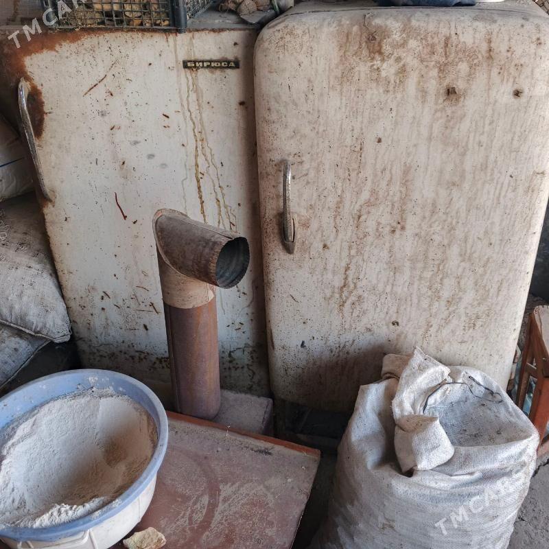 kone haladilnok - Tejen - img 2