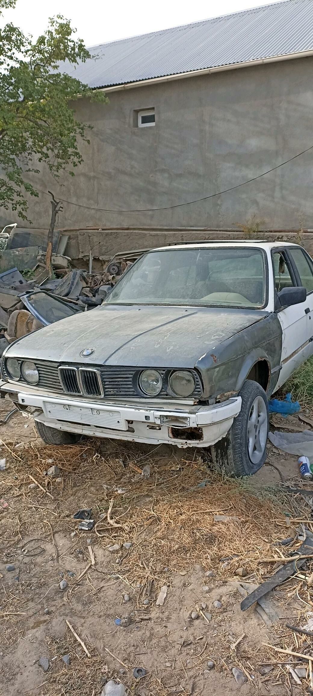 e28 e30 kuzwa 300 TMT - Änew - img 1