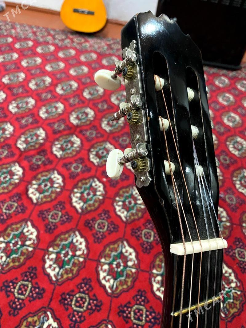 Castilla klassik gitara - Köneürgenç - img 1