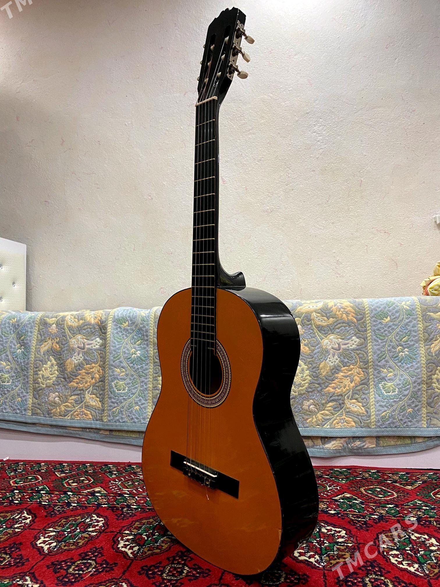 Castilla klassik gitara - Köneürgenç - img 2