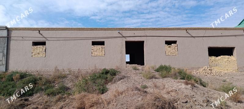 satlyk jay - Gurbansoltan Eje - img 2