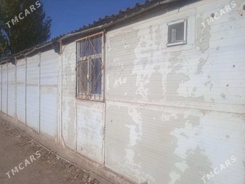 Butga - Gurbansoltan Eje - img 6