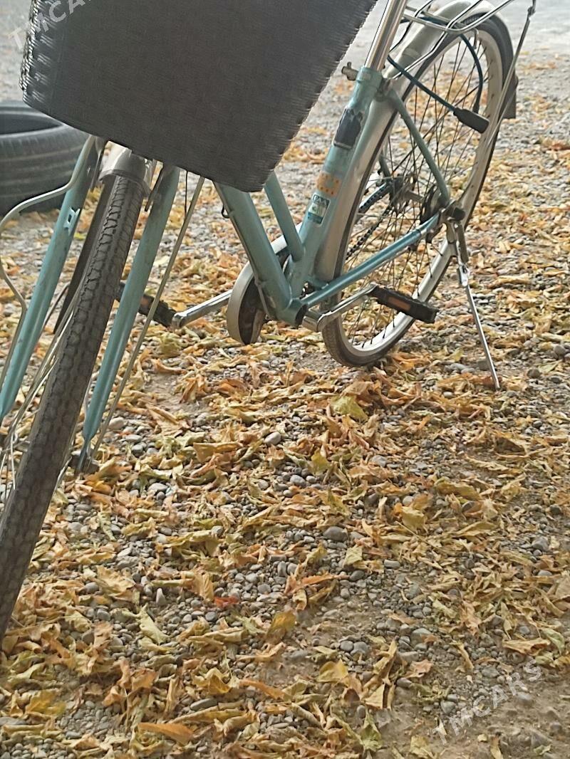 Tigir - Кипджак - img 3