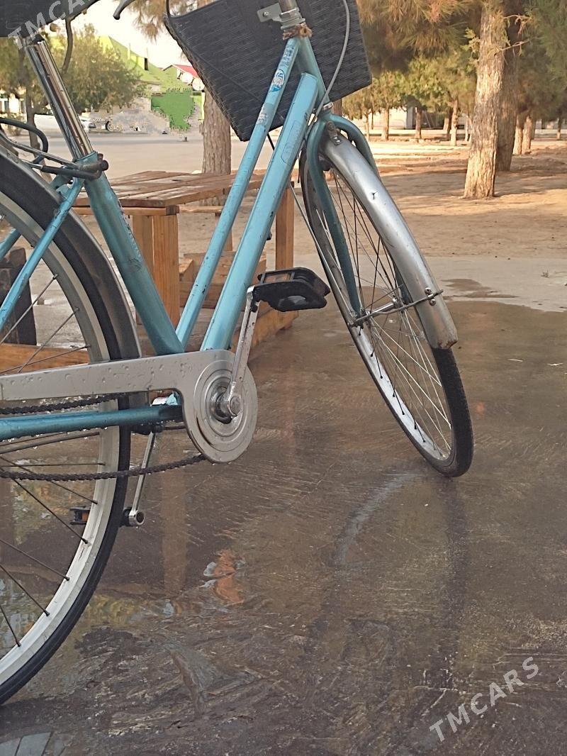 Tigir - Кипджак - img 1