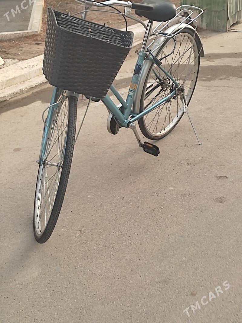 Tigir - Кипджак - img 2