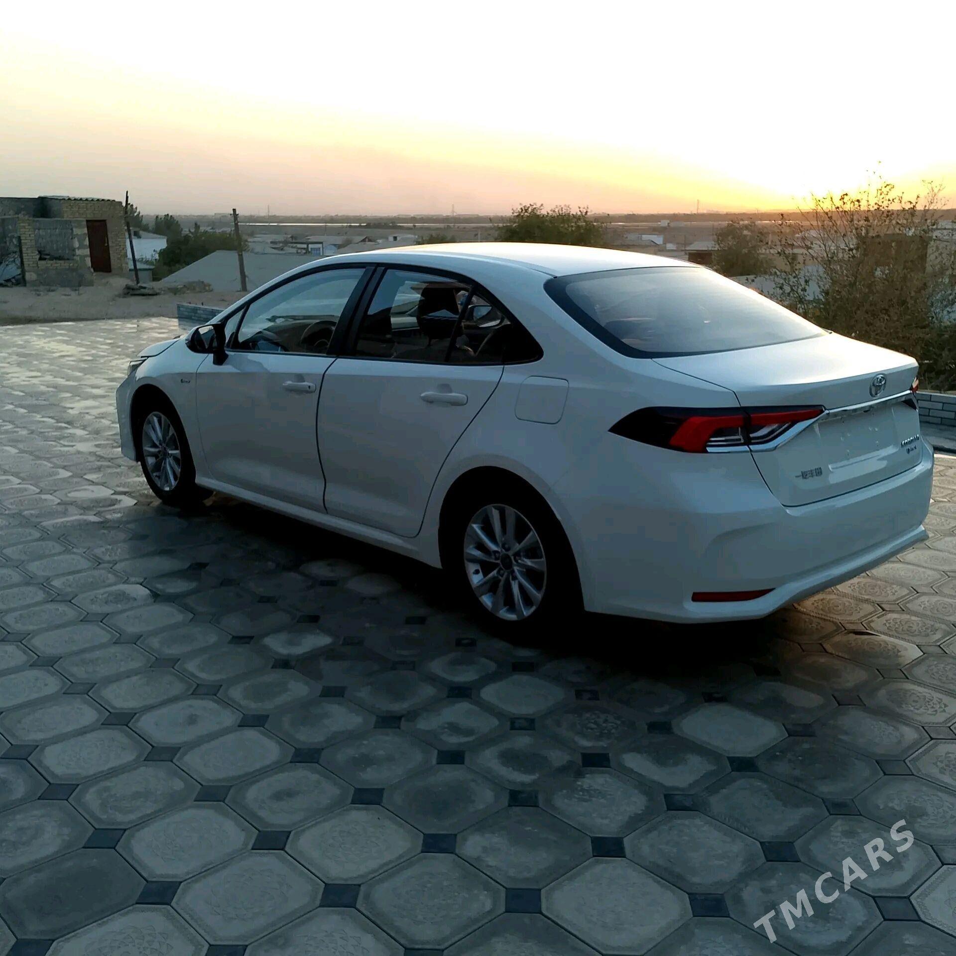 Toyota Corolla 2025 - 340 000 TMT - Керки - img 3