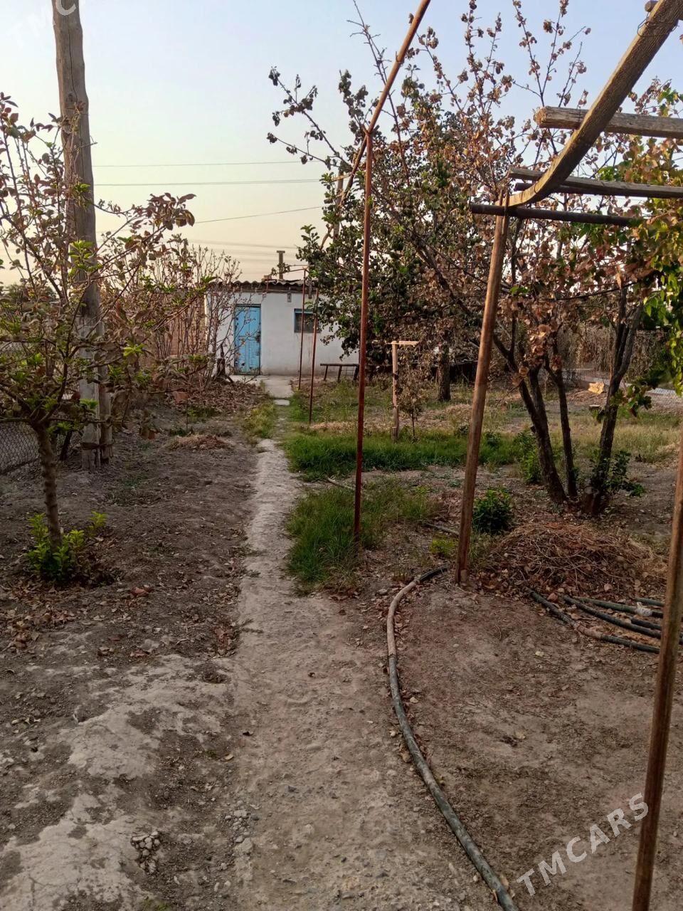 Satlyk jay!!! Bayramaly - Baýramaly - img 9