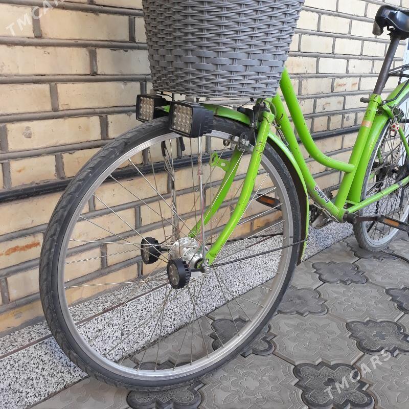 welesopet - Мары - img 2