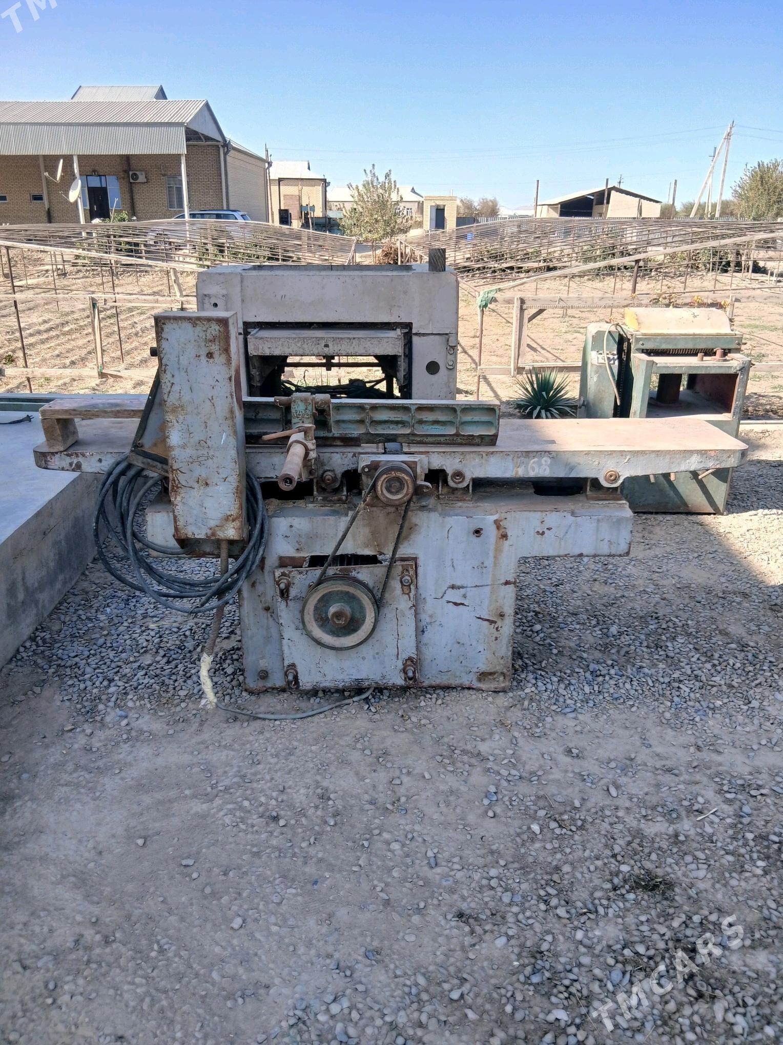 Agaç ystonok - Мургап - img 2