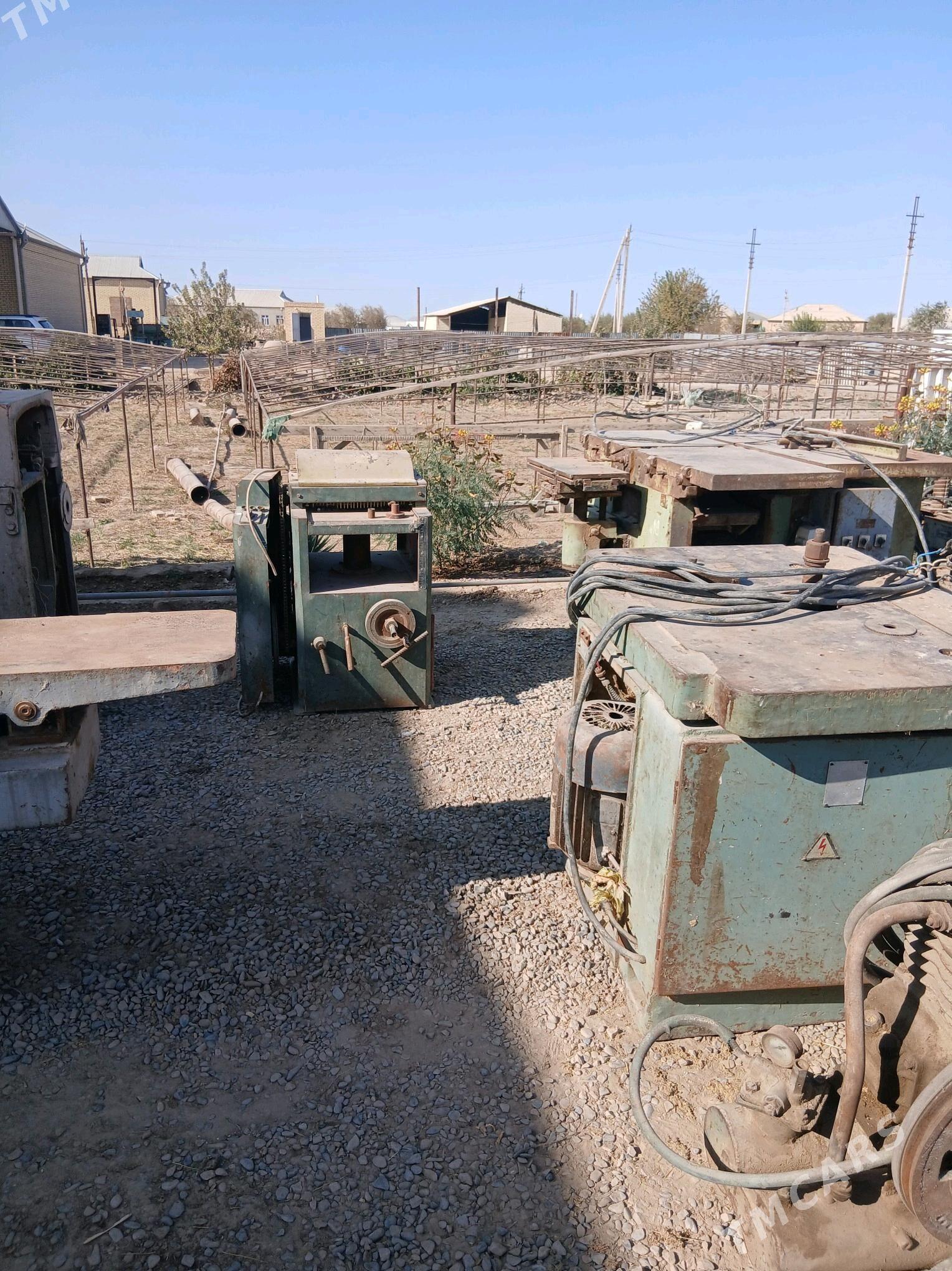 Agaç ystonok - Мургап - img 1