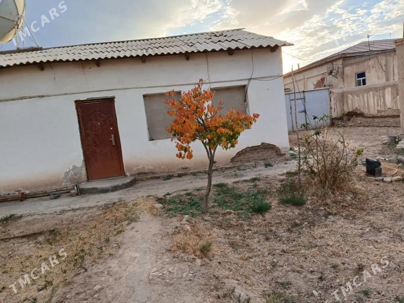 JAÝ - Гороглы (Тагта) - img 10