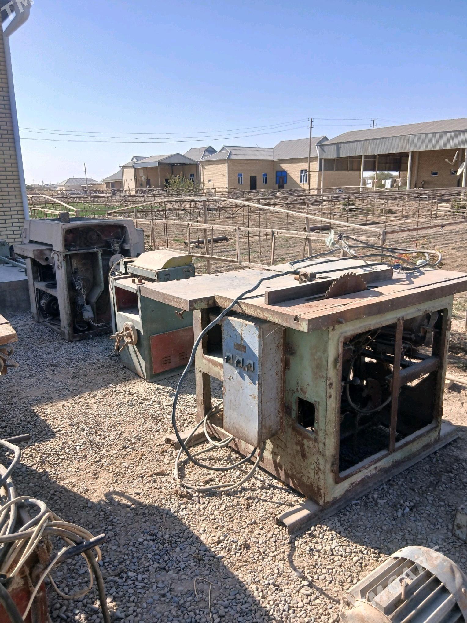 Agaç ystonok - Мургап - img 4