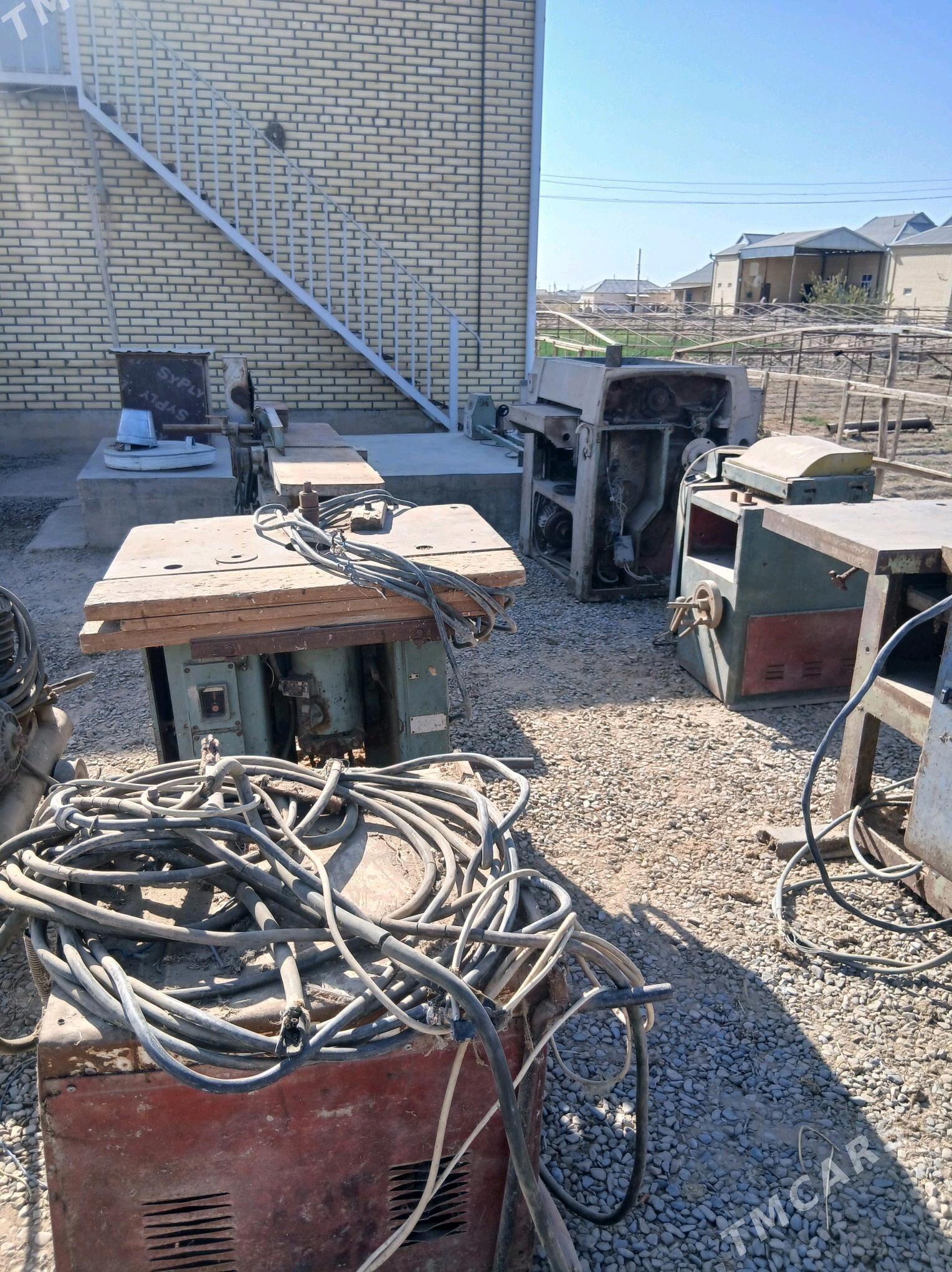 Agaç ystonok - Мургап - img 3