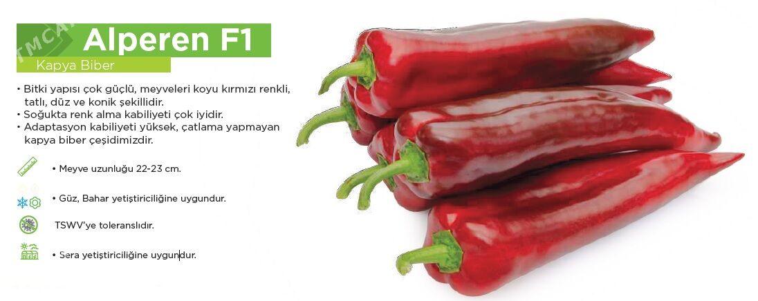 Gyzyl tomatlyk we Üçburun burç-bulgar tohumlary - Aşgabat - img 1