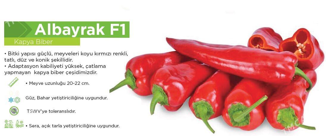 Gyzyl tomatlyk we Üçburun burç-bulgar tohumlary - Ашхабад - img 3