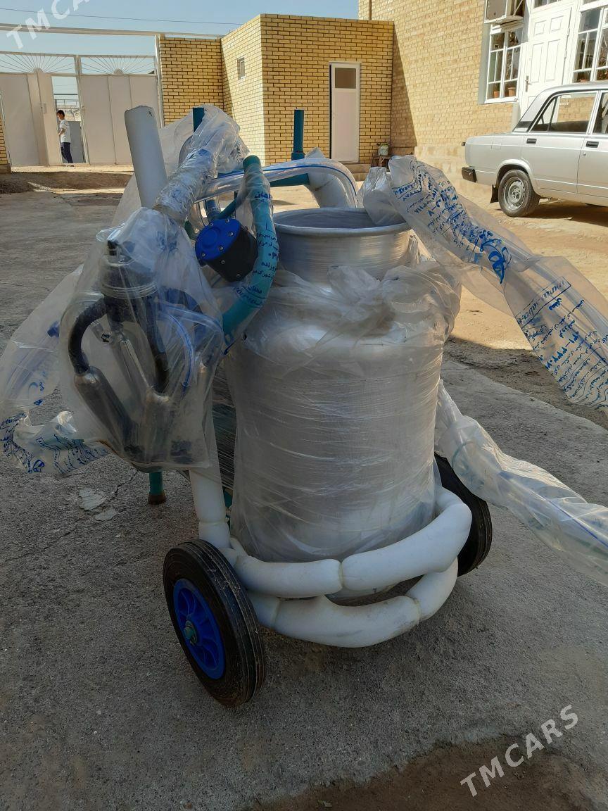 suyt sagylyan - Мары - img 4