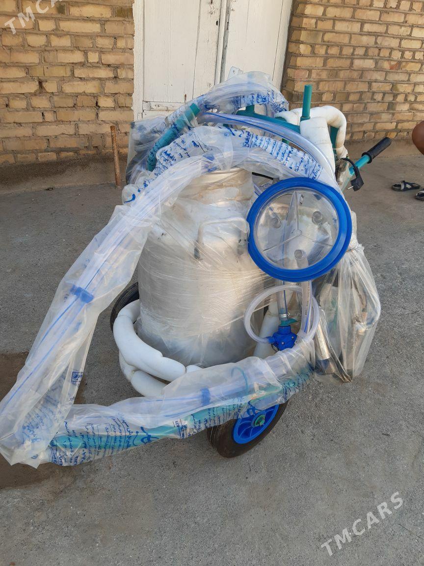 suyt sagylyan - Мары - img 3