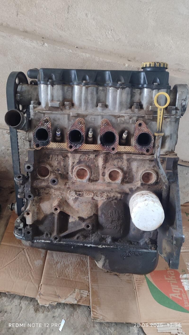 mator 2 200 TMT - Гороглы (Тагта) - img 2