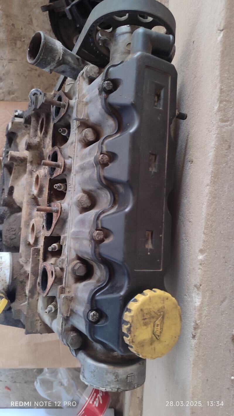 mator 2 200 TMT - Гороглы (Тагта) - img 3