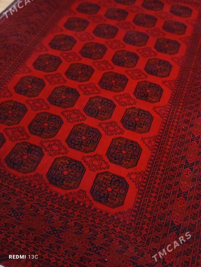 owgan haly - Бекреве - img 5