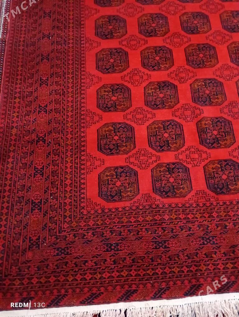 owgan haly - Бекреве - img 2