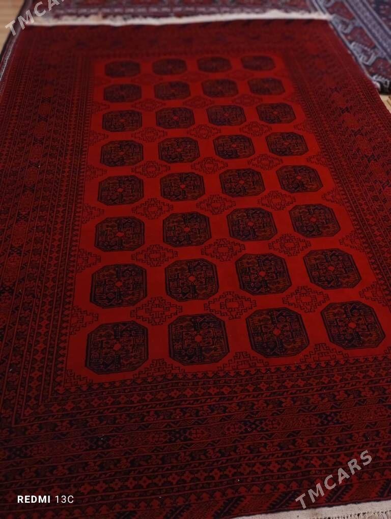 owgan haly - Бекреве - img 3