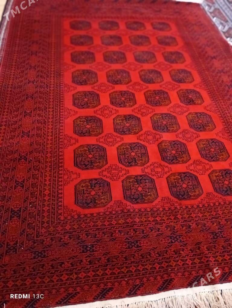 owgan haly - Бекреве - img 4