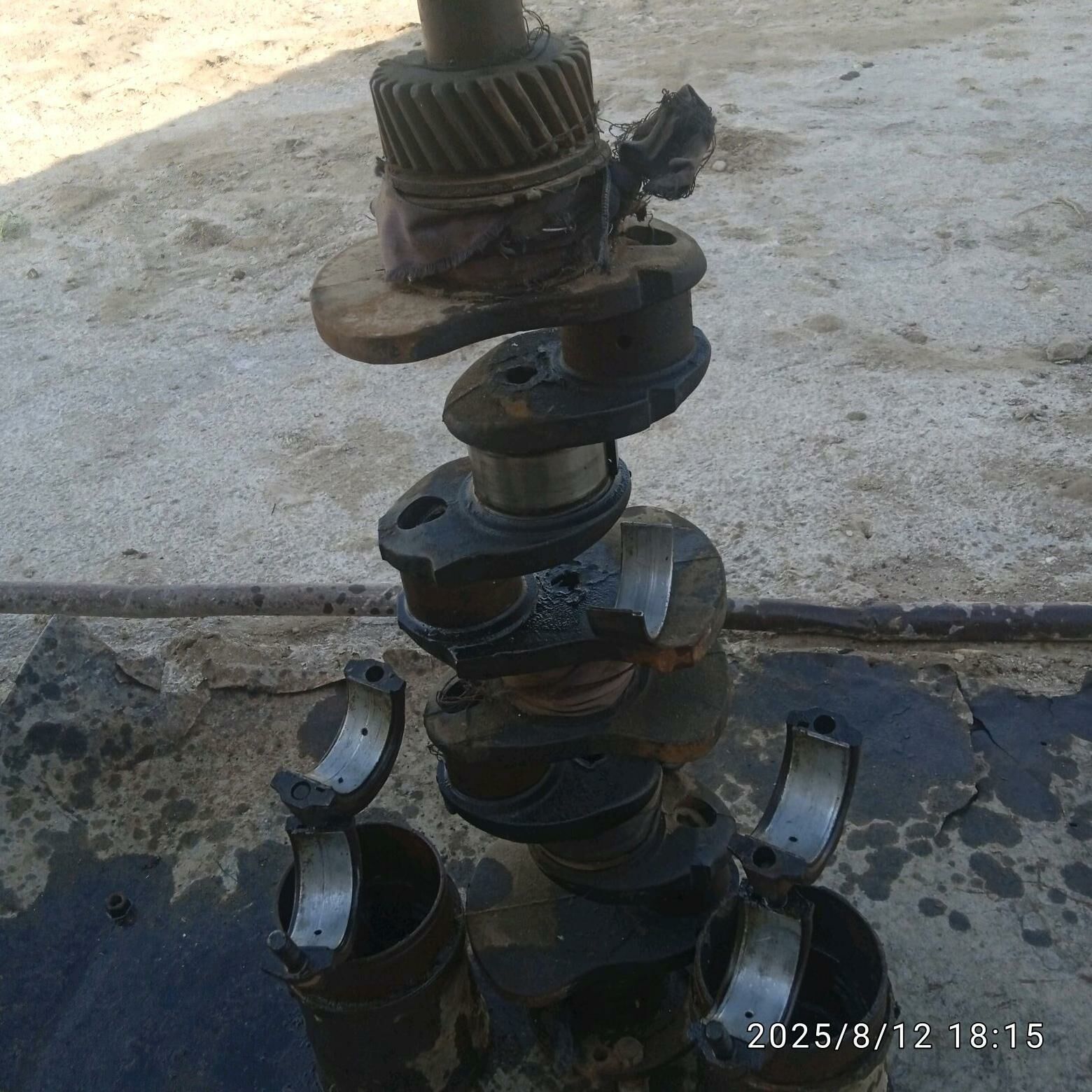 Атыячлык шайлар 100 TMT - Türkmenbaşy etr. - img 3