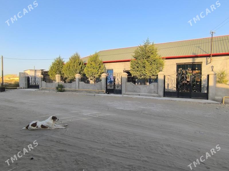 satlik jay seydi Arzuw saherce - Сейди - img 8