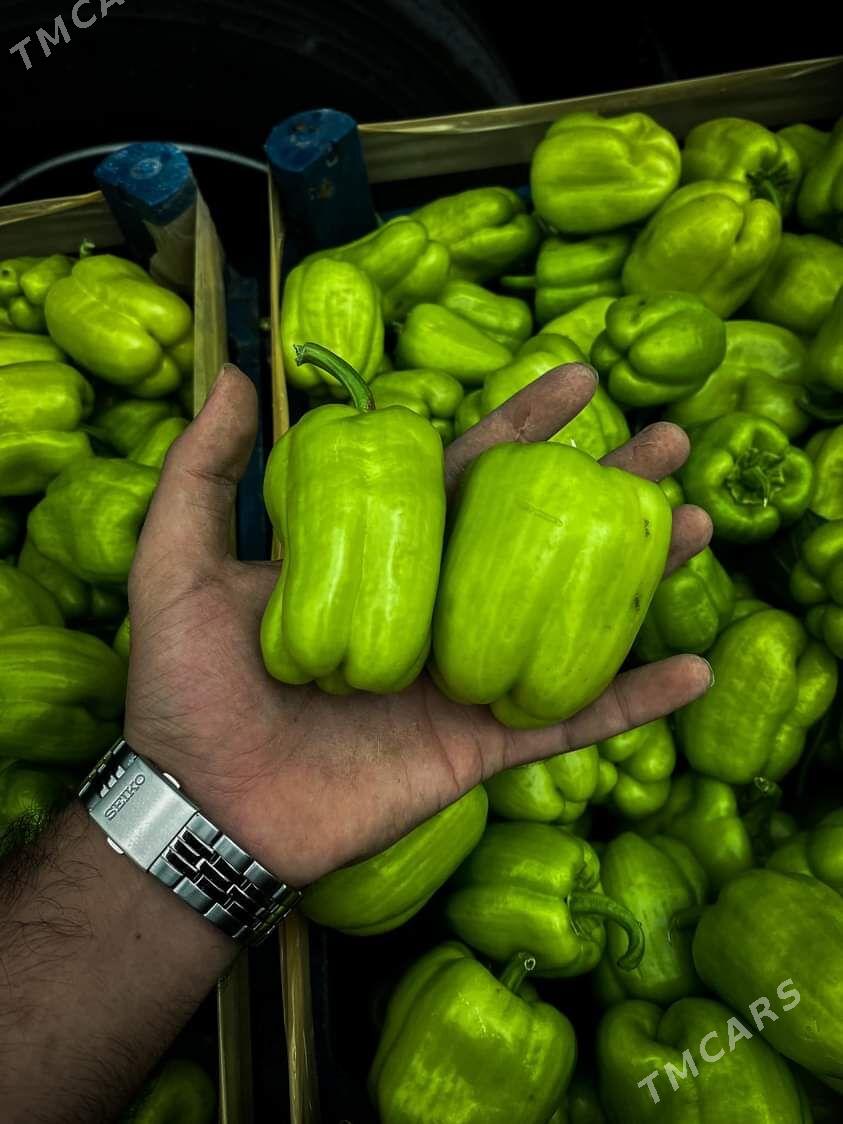 Bulgar burçlary tohumy görnüşleri - Ашхабад - img 8