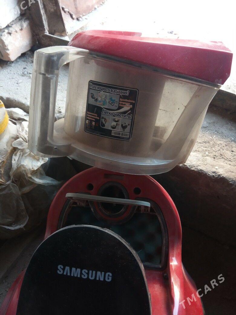 Plisos-tozansoryjy. - Daşoguz - img 2