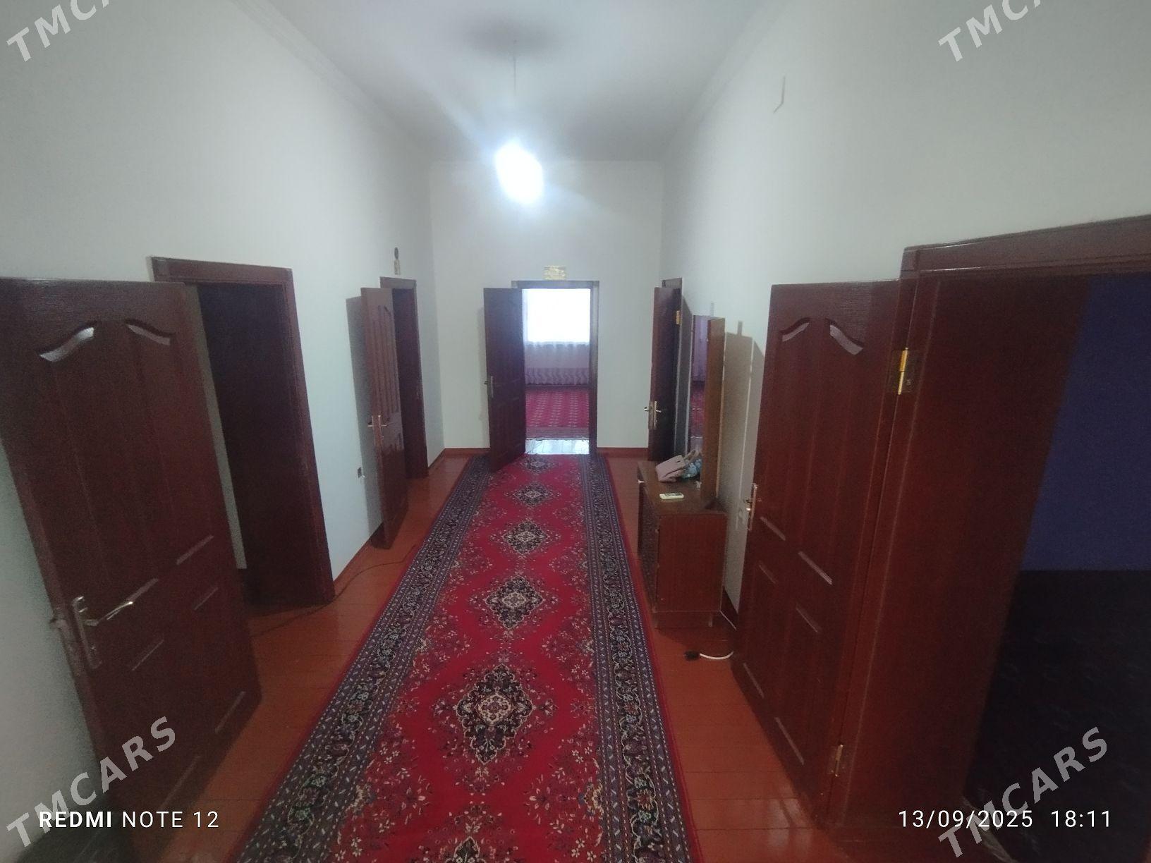 Elitka jay - Бабадайхан - img 3