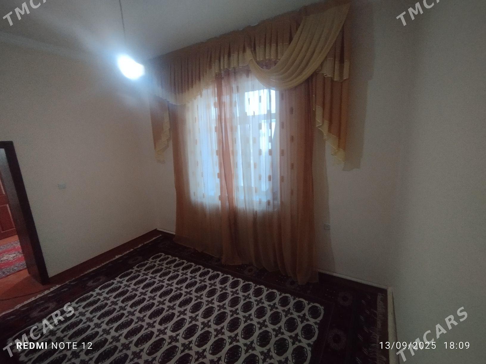 Elitka jay - Бабадайхан - img 4