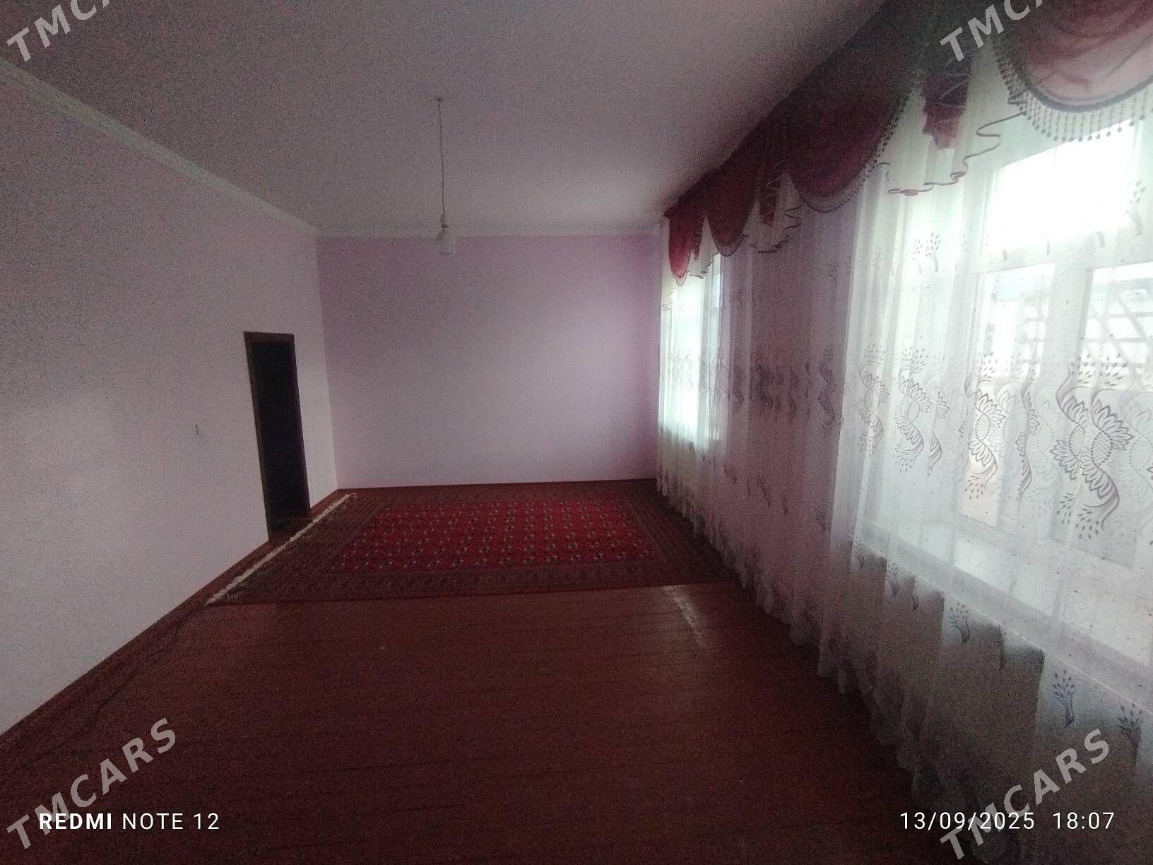 Elitka jay - Бабадайхан - img 5