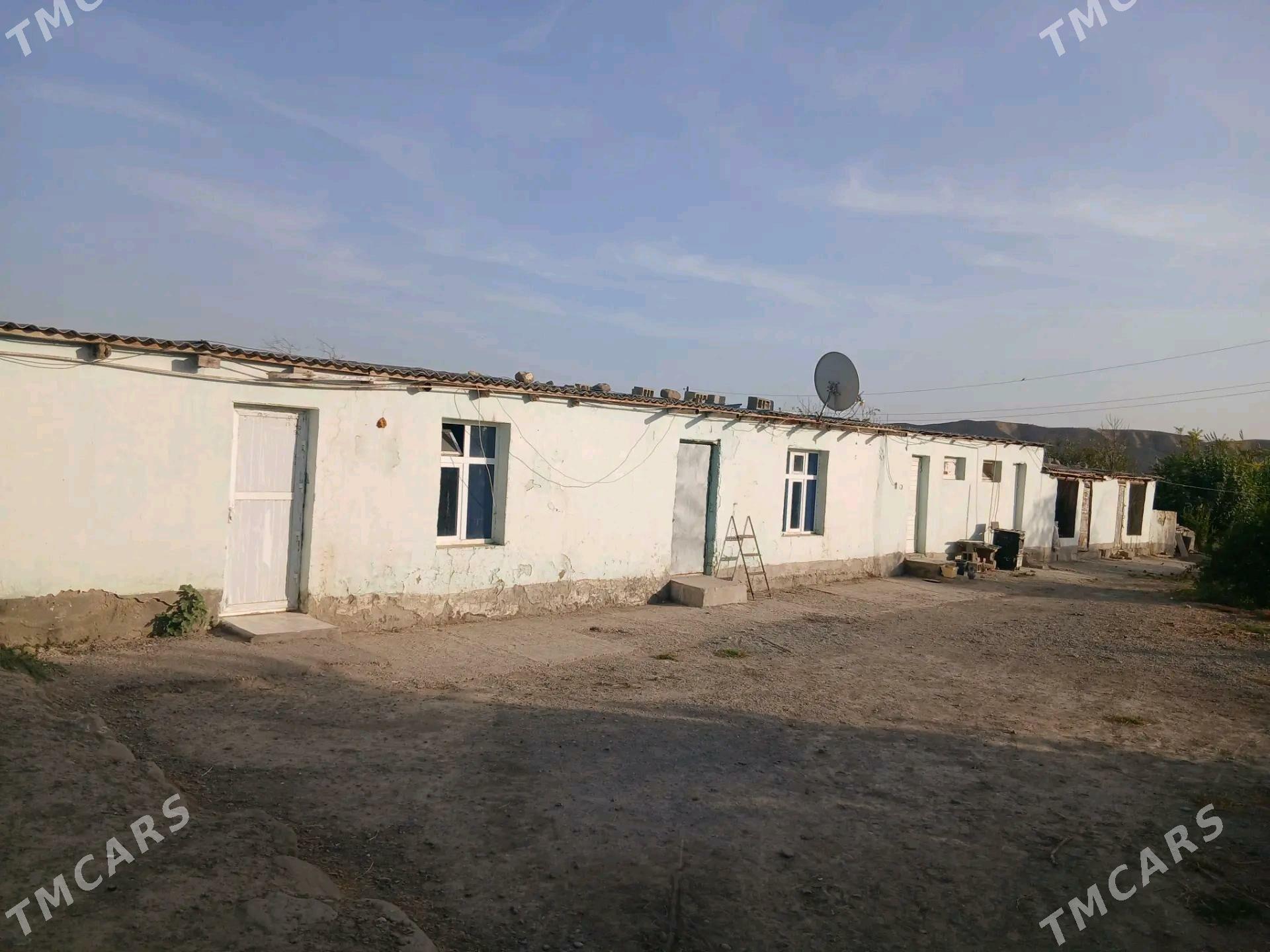 jaý - Махтумкули - img 10