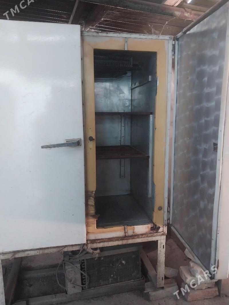 holodenlik - Дянев - img 3