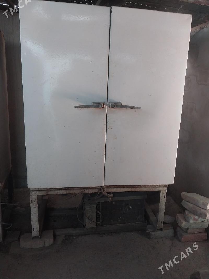 holodenlik - Дянев - img 1