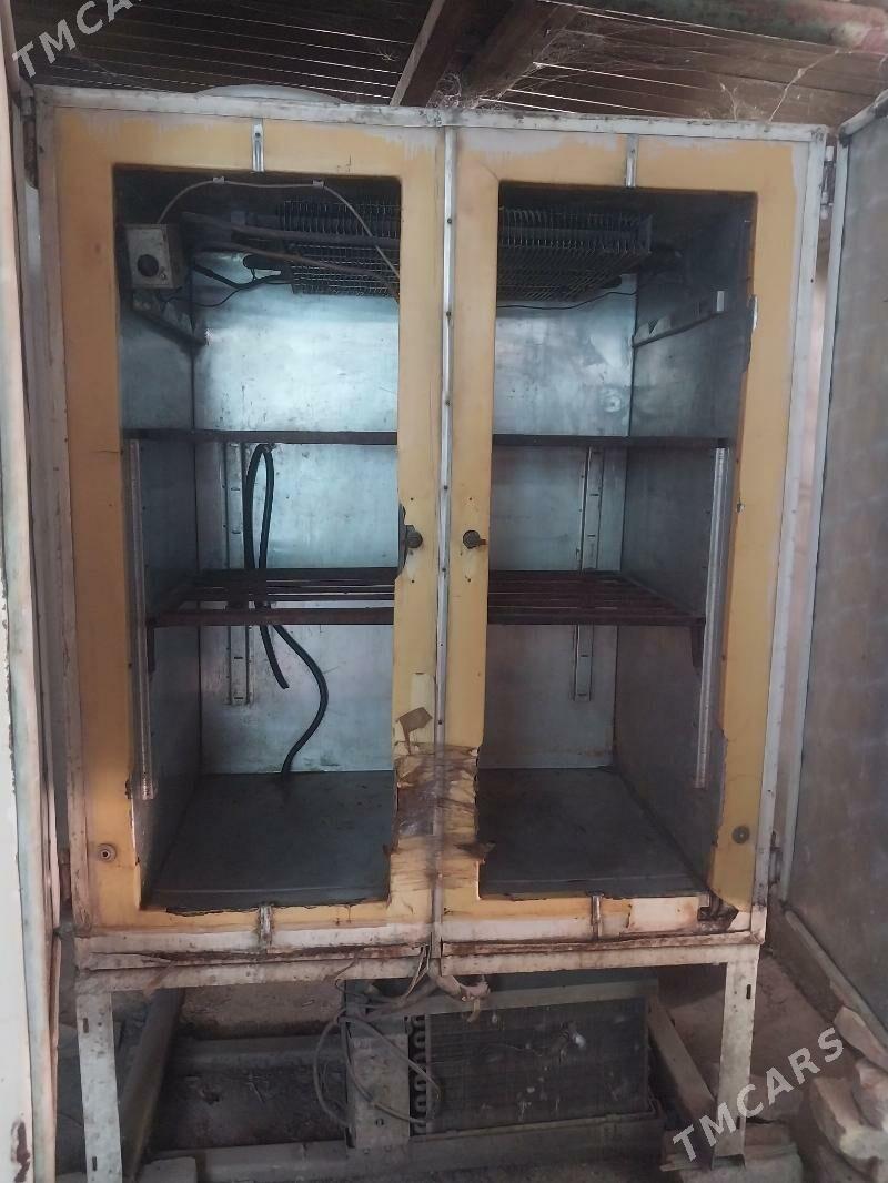 holodenlik - Дянев - img 2