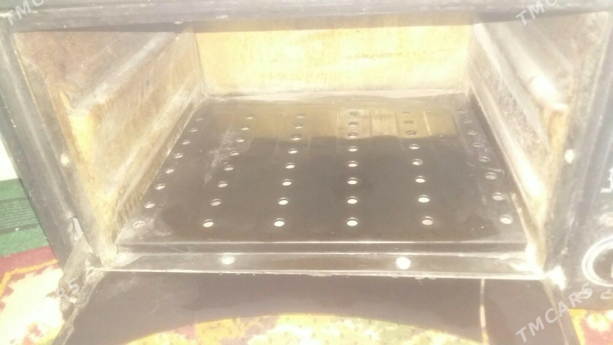 Duhowka/Mikrowolnowka - Büzmeýin GRES - img 2