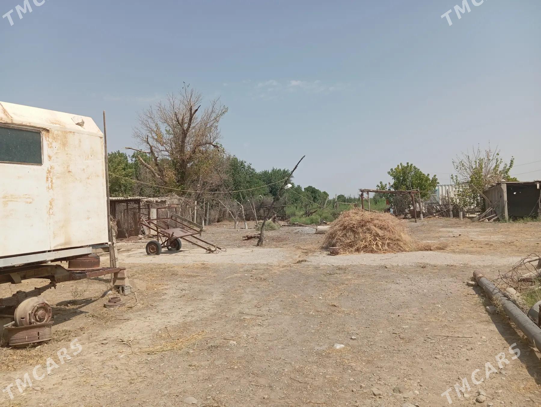 gawers 1gektar satlyk - Aşgabat - img 9